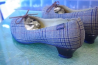 camper,カンペール,オールソール