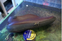 camper,カンペール,オールソール